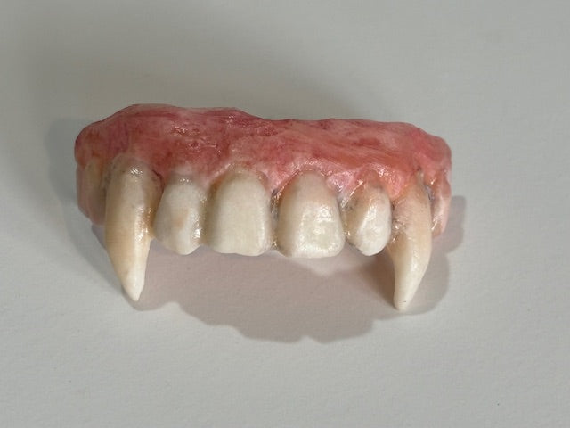 Full Veneer Vampire Fangs