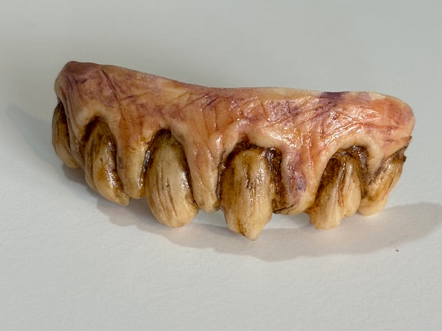 Orcish Teeth