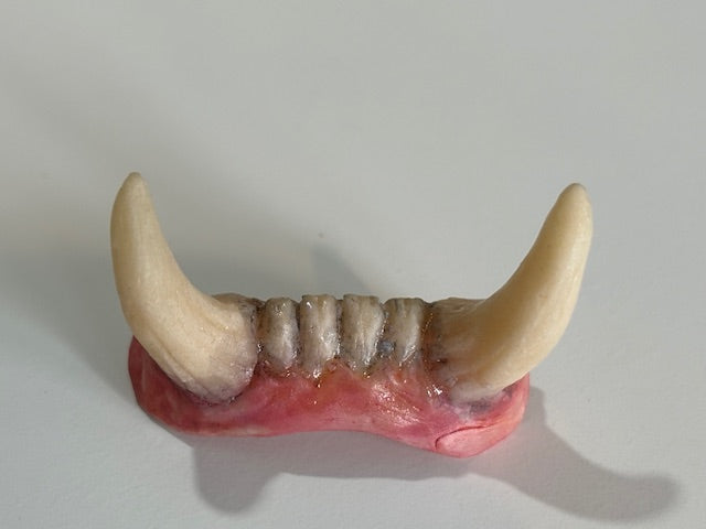 Tusks/Krampus Teeth